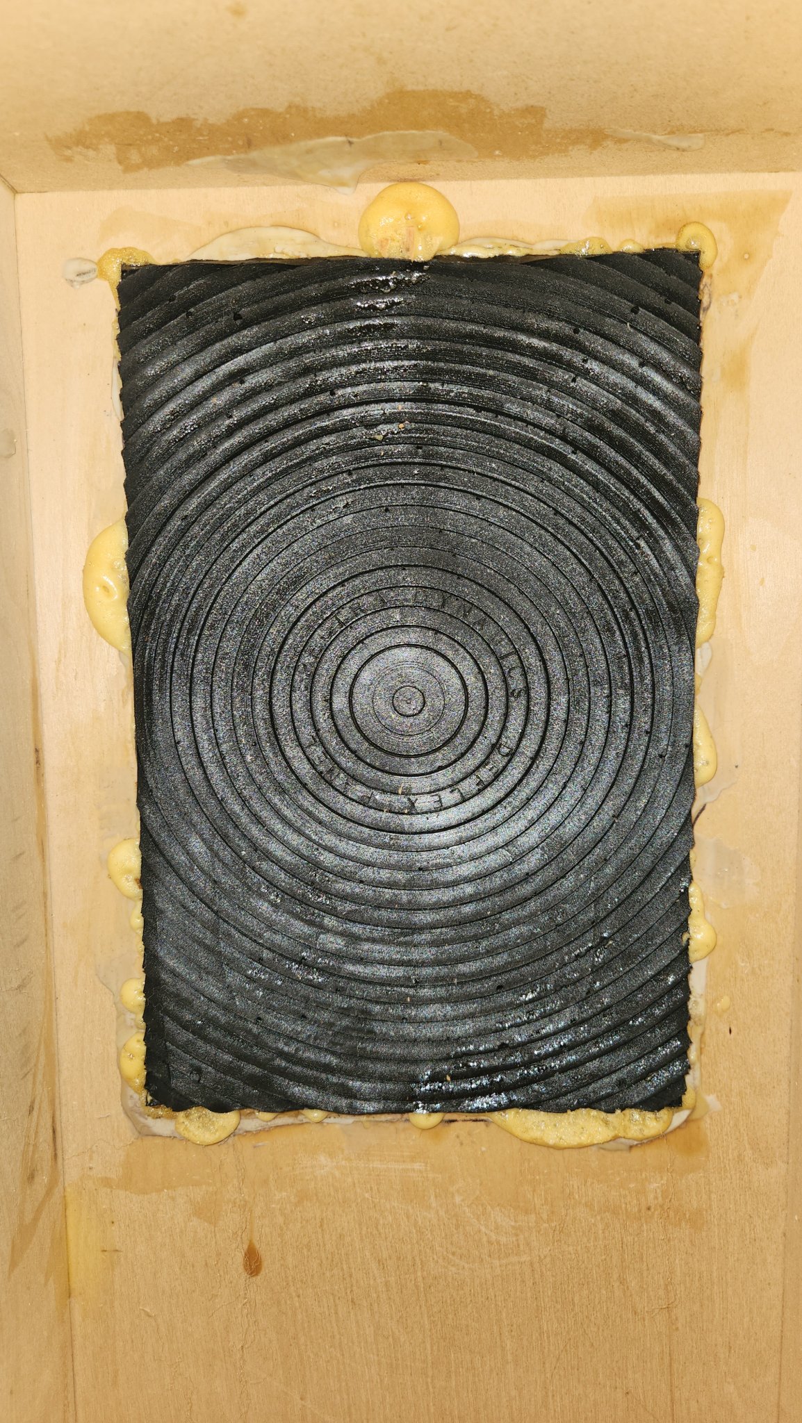 1000036324.jpg