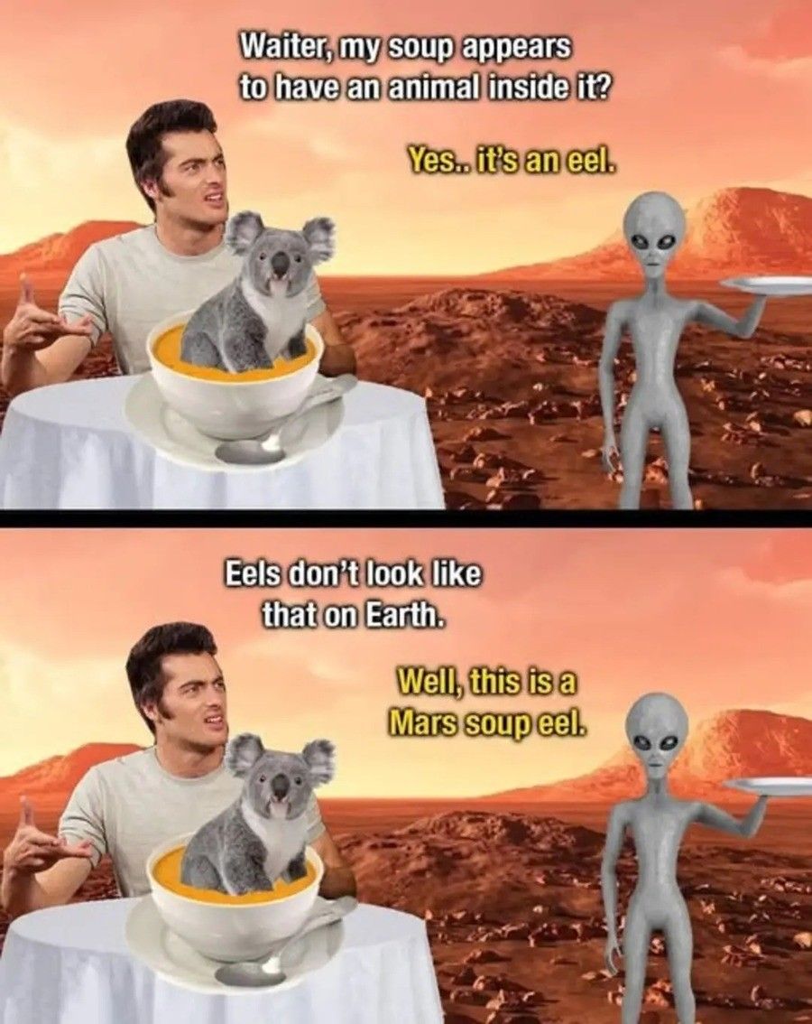 1000060597.jpg