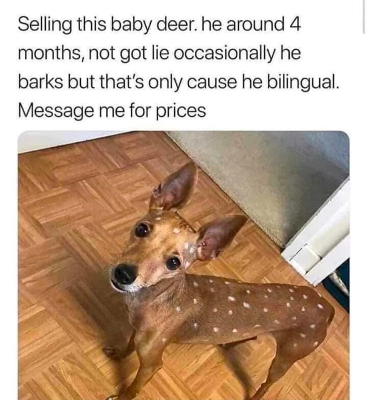 1000060603.jpg