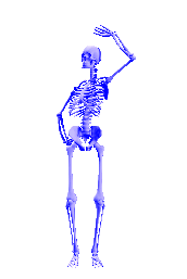 11.gif