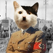 1647965505789.png
