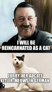 1647965659743.png