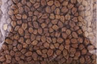 1650512039872.png