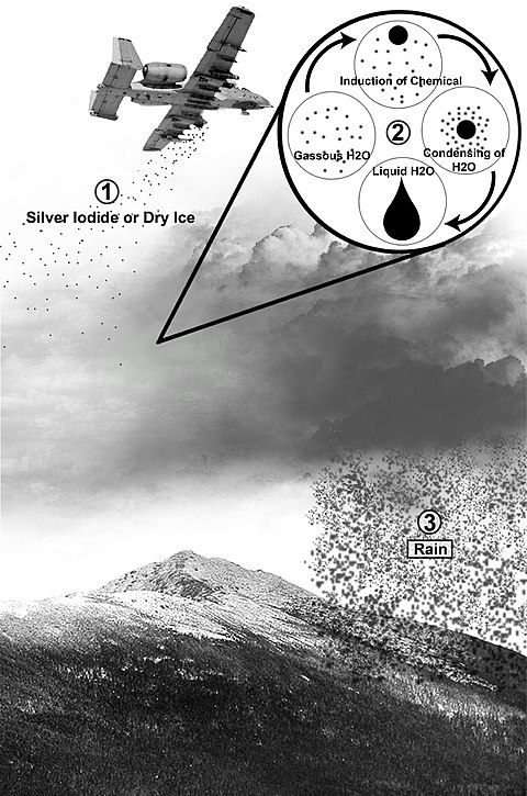 1661986987764.png