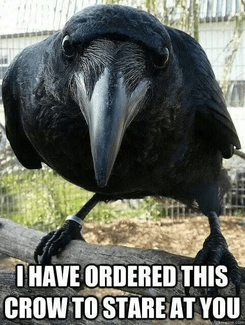 1665876520264.png