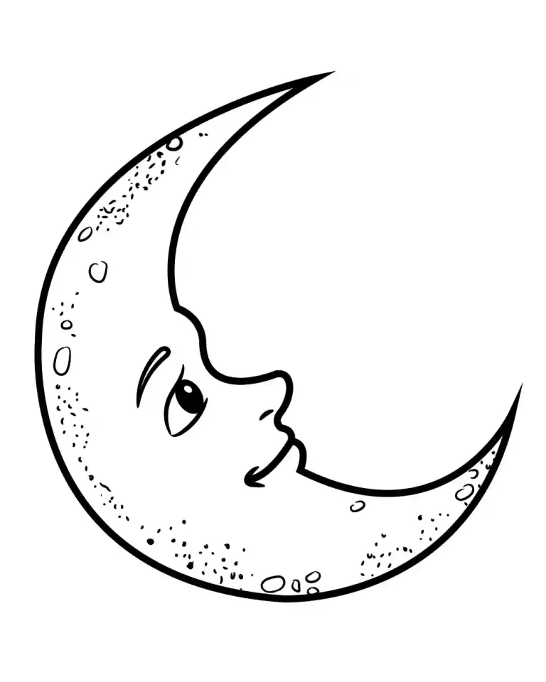 1667510463389.png