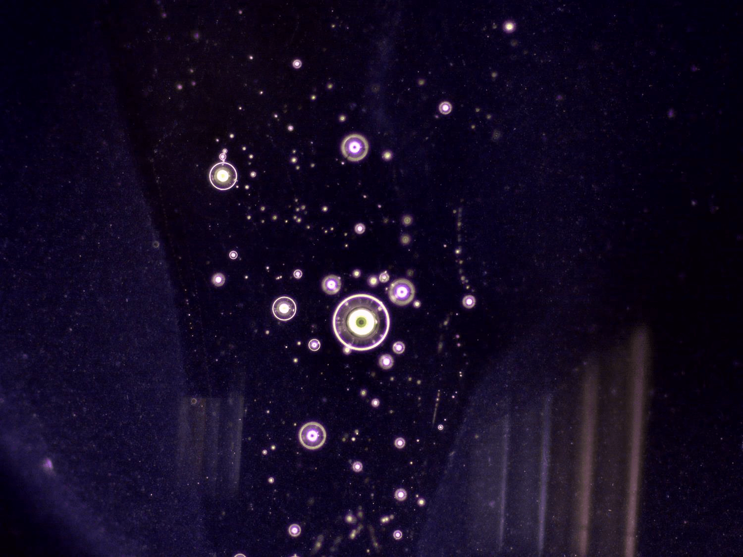 1668373436413.png