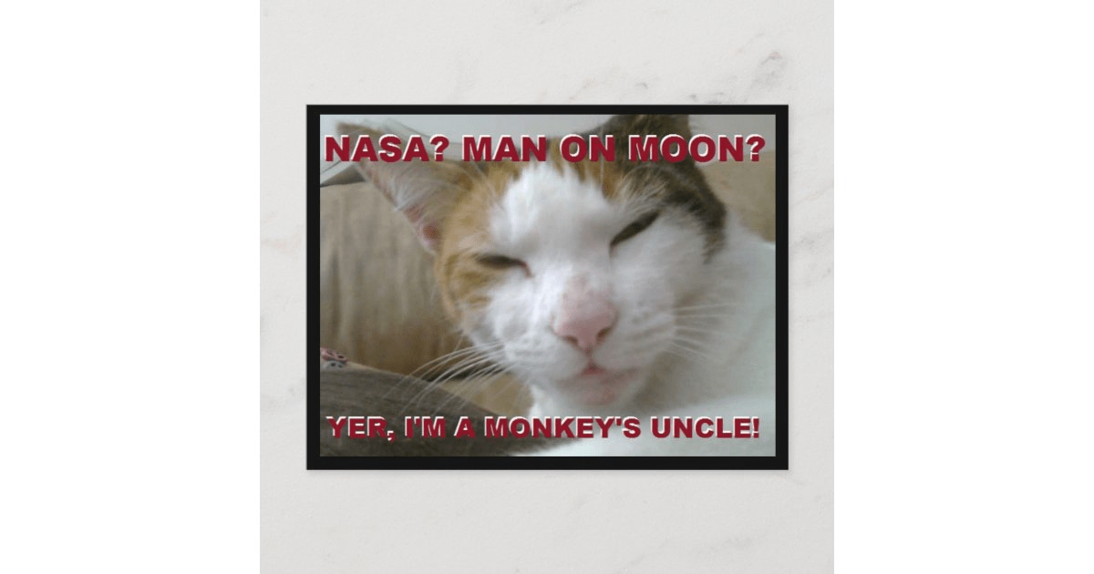 1669918934803.png
