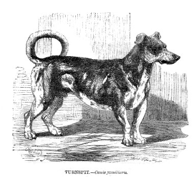 1670864702148.png