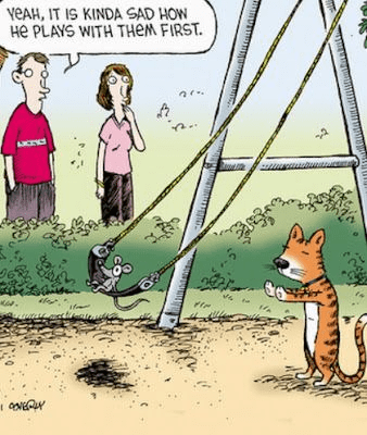 1672093413768.png