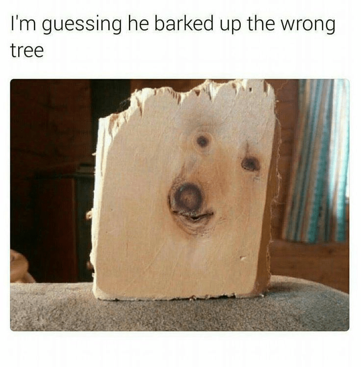 1677091543642.png