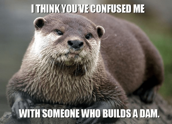 1677107380822.png