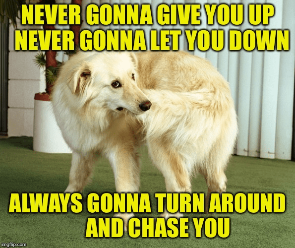 1687983120086.png