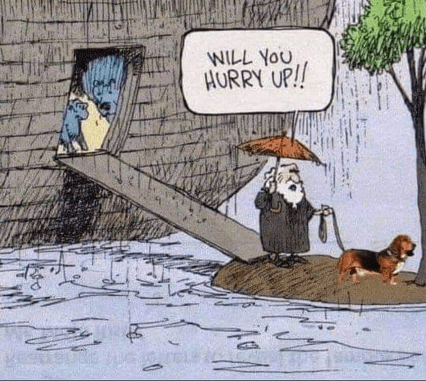 1688226087894.png