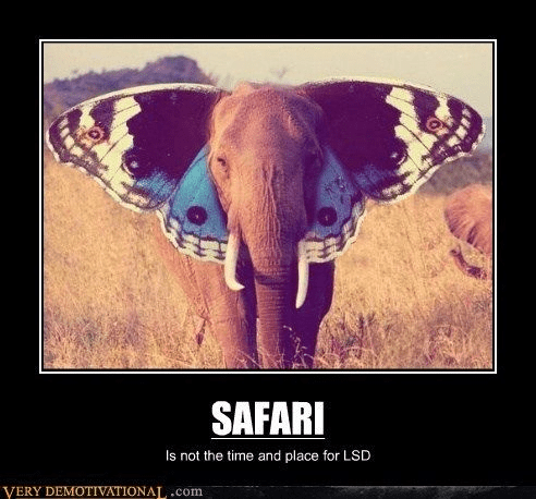1688597556904.png