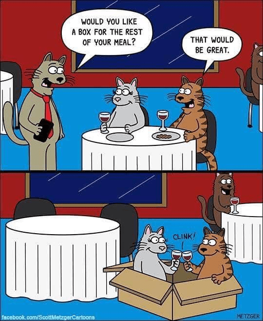 1691242214971.png