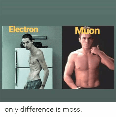 1691936691071.png