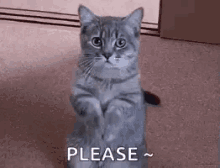 1696264827457.gif