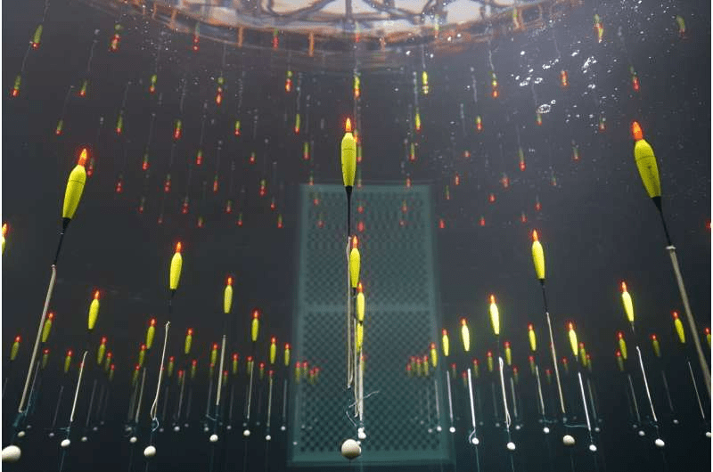 1698190939405.png