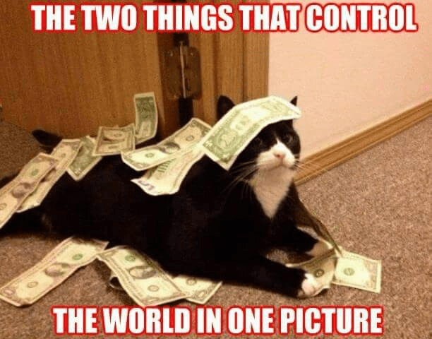 1699311125759.png