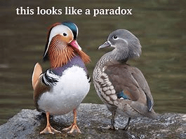 1699569685058.png