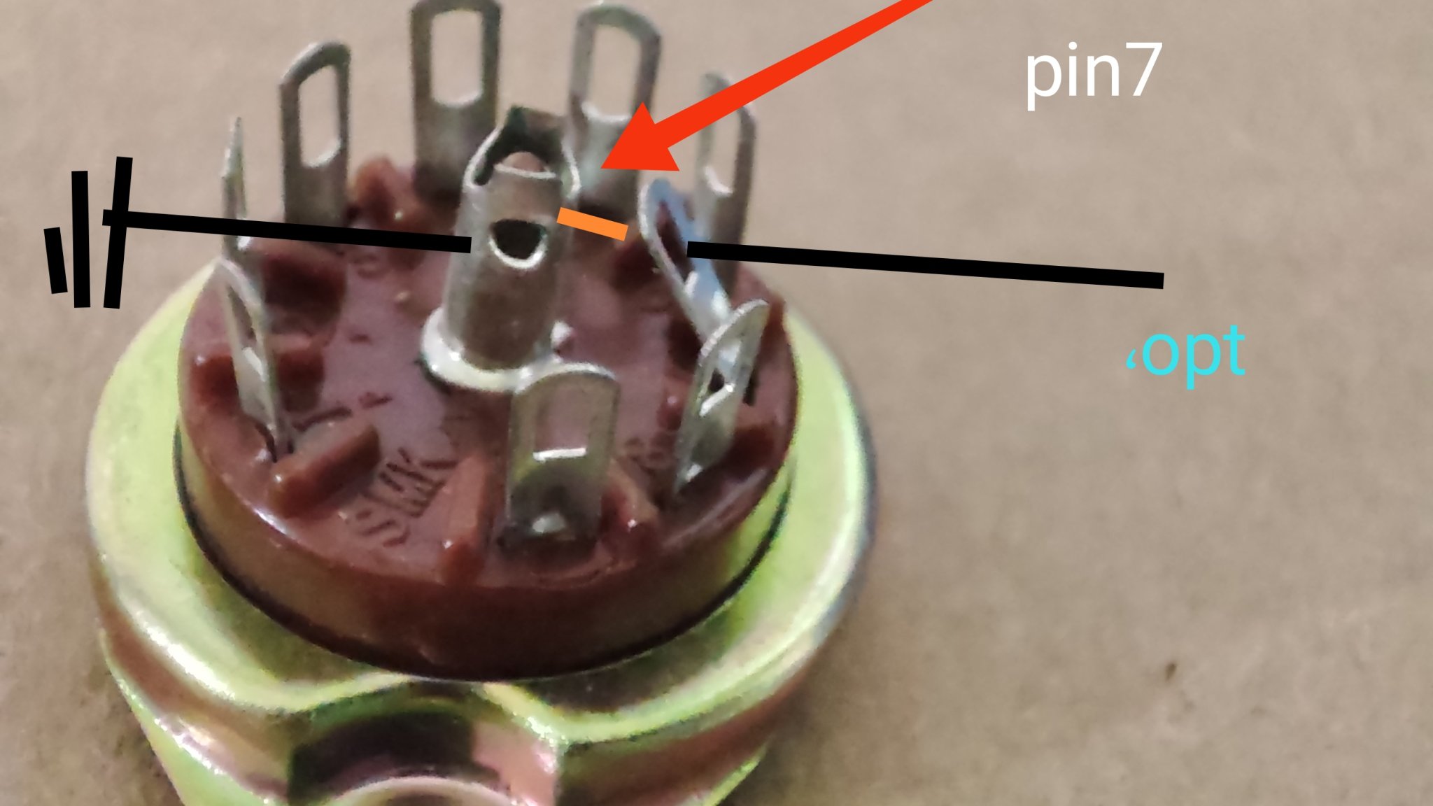 1700164421728.jpg