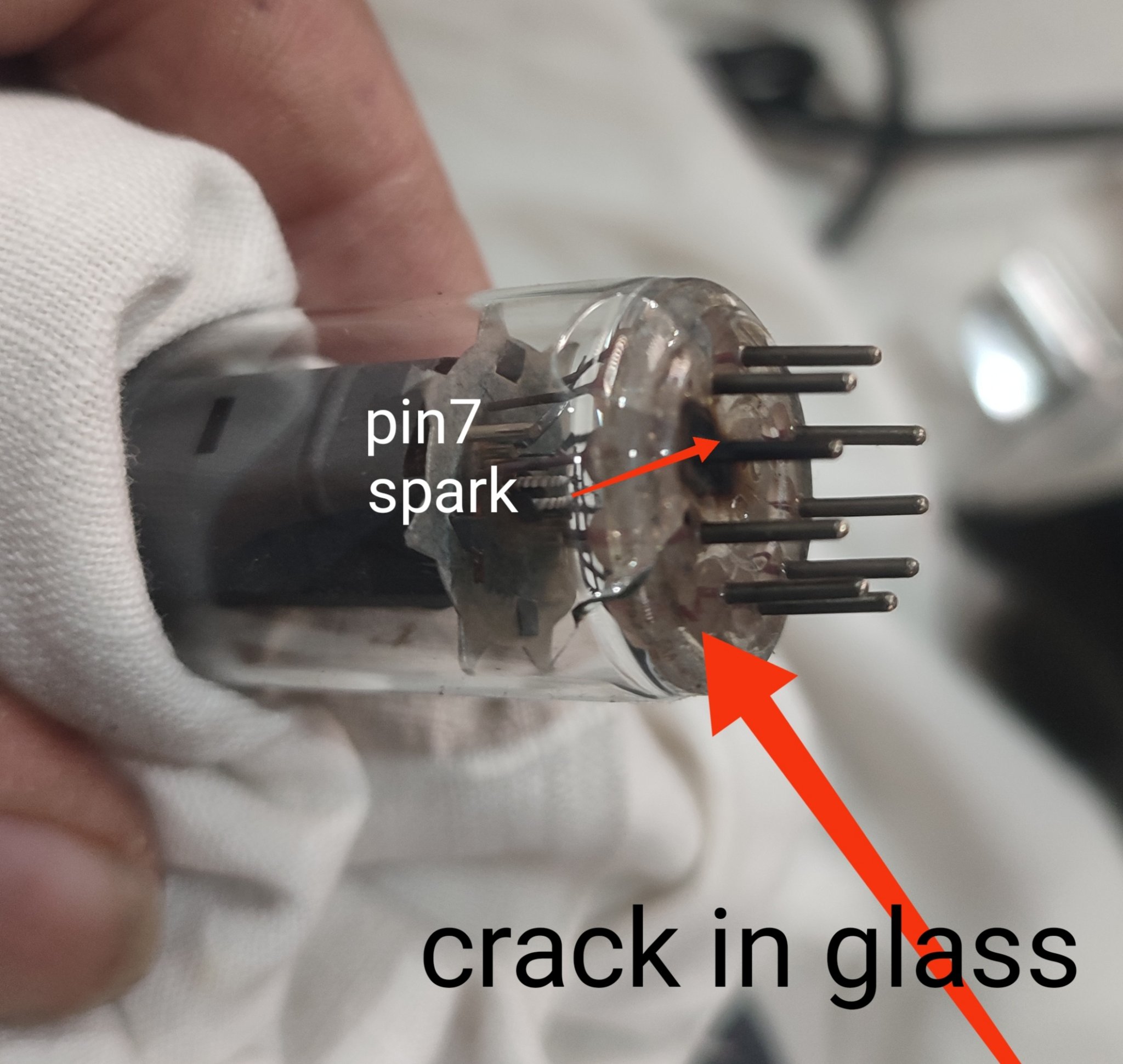 1700165968888.jpg