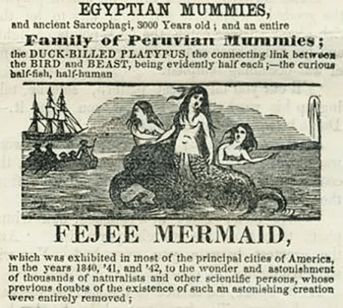 1701185146280.png