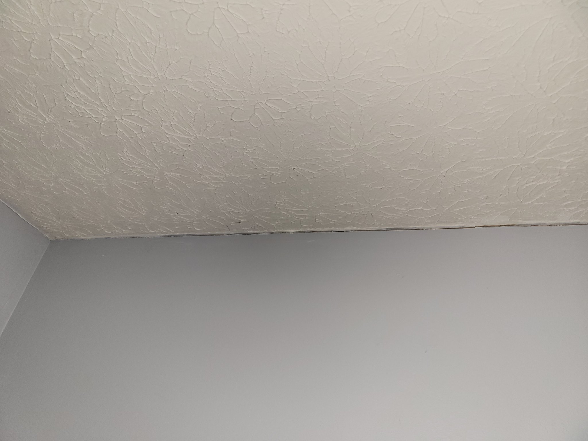 17033608174161363156057646749540.jpg