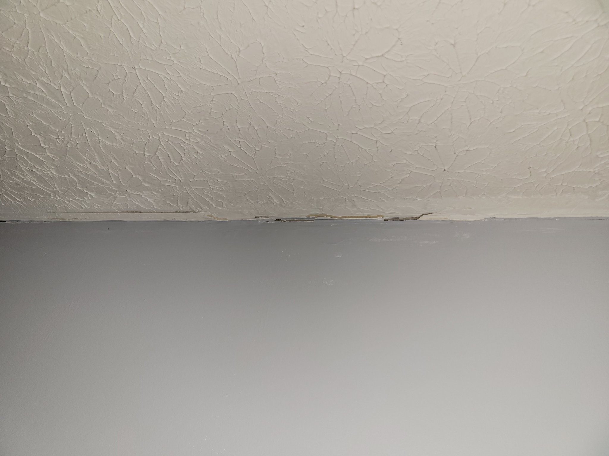 17033608738654394053881310251154.jpg