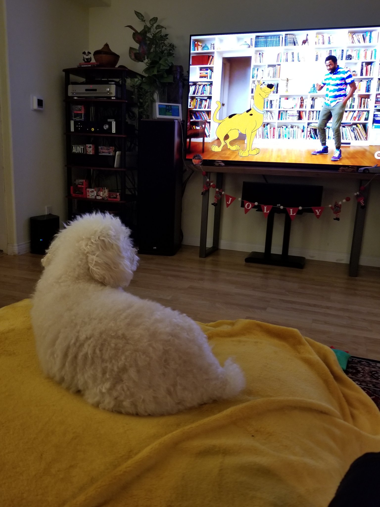 1708289766380.jpeg
