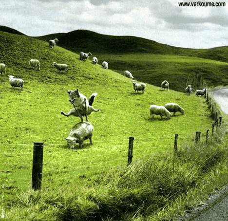 1714013565193.png