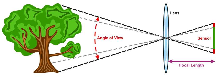 1716081089850.png