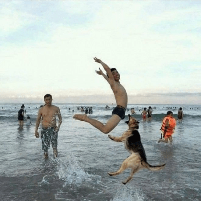 1716230227154.png