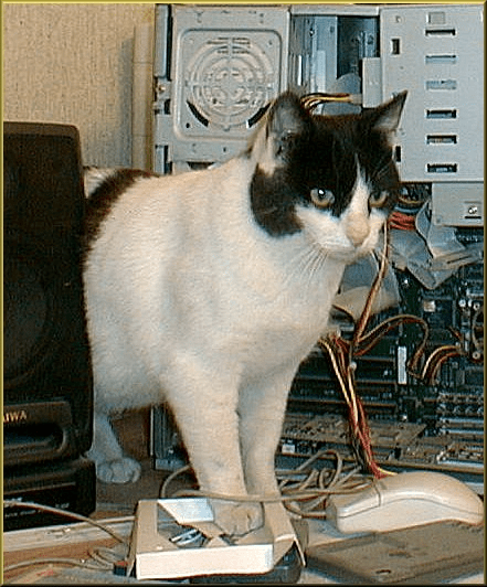 1719888550517.png