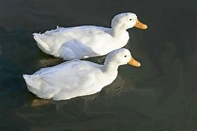 1725484919888.png