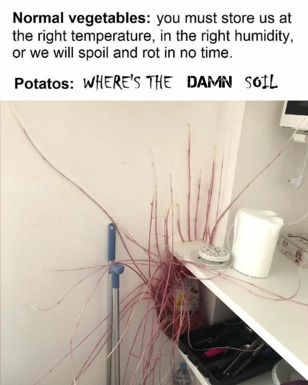 1725996499807.jpg