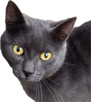 1726130319435.png