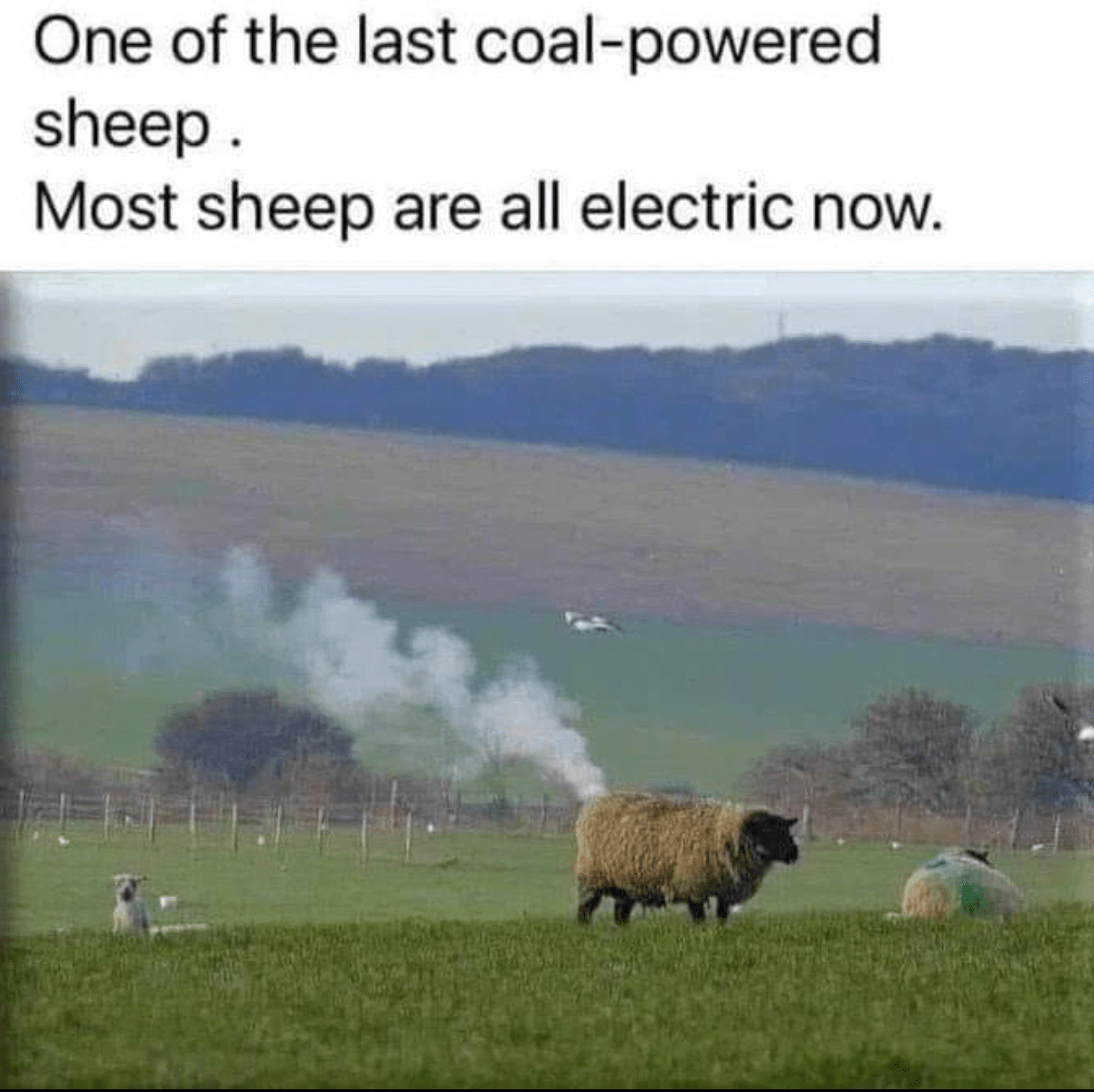 1727226884337.png