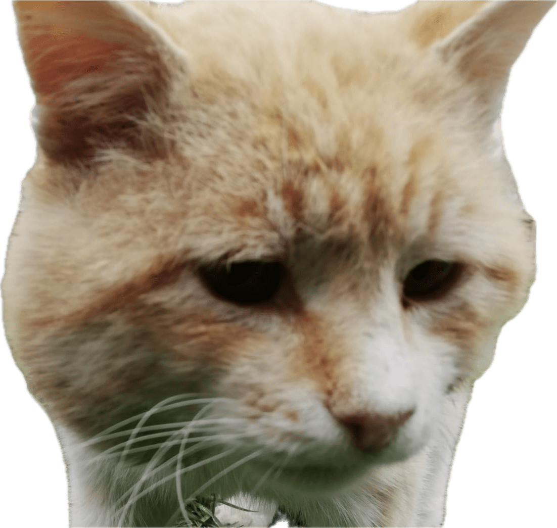 1727256409062.png