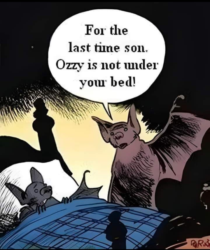 1730018838262.png