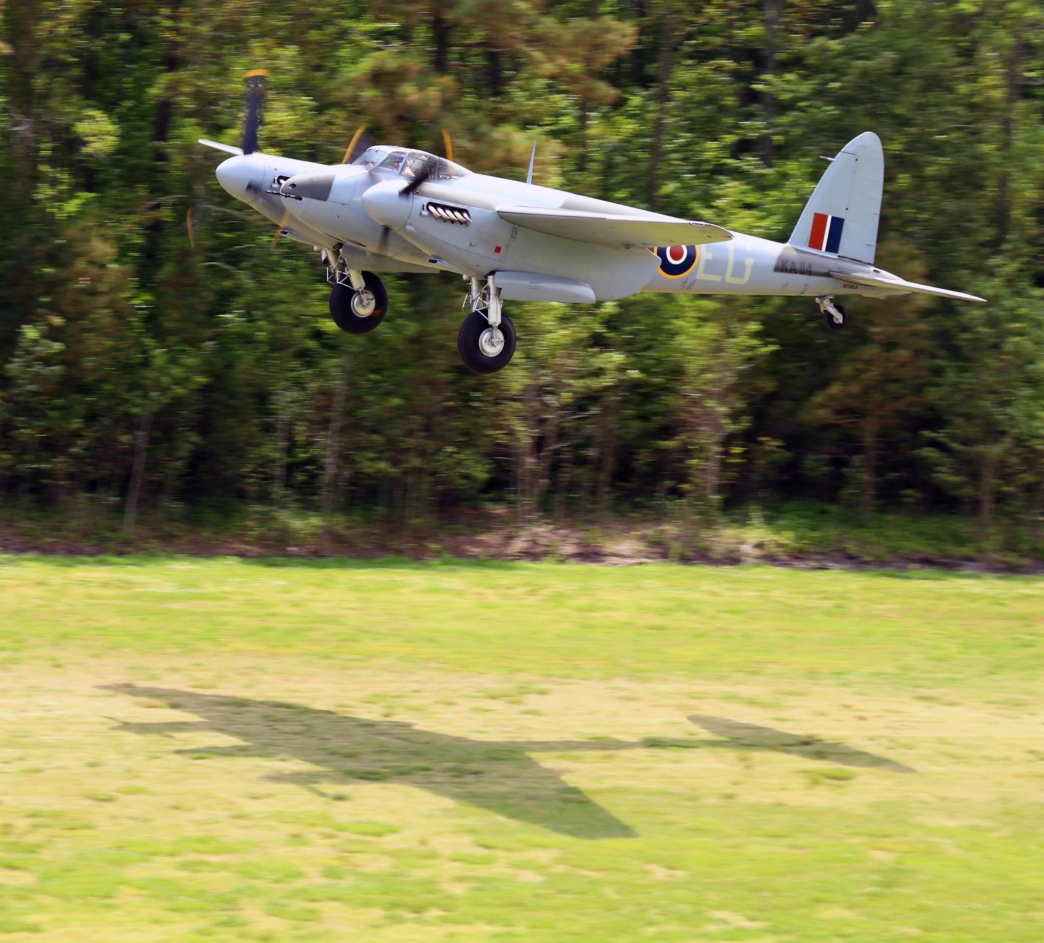 173047j.jpg