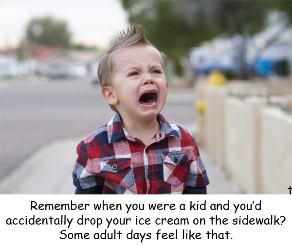 1730496471002.png