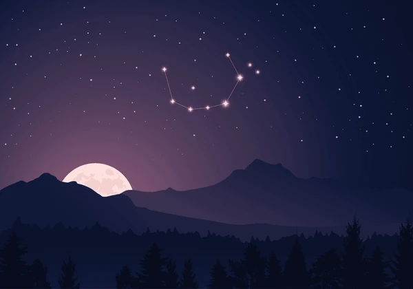 1733169018385.png
