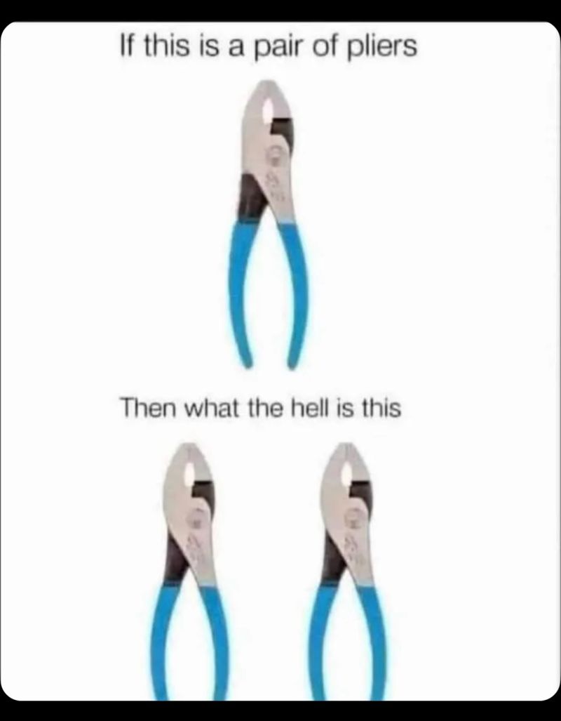 1733189256200.jpeg