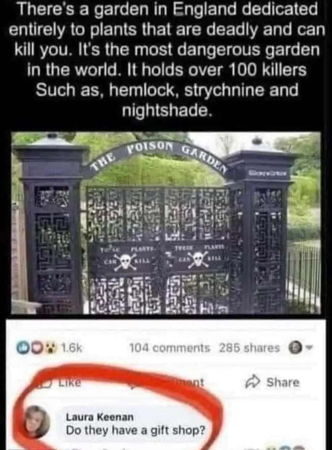 1734644787771.png