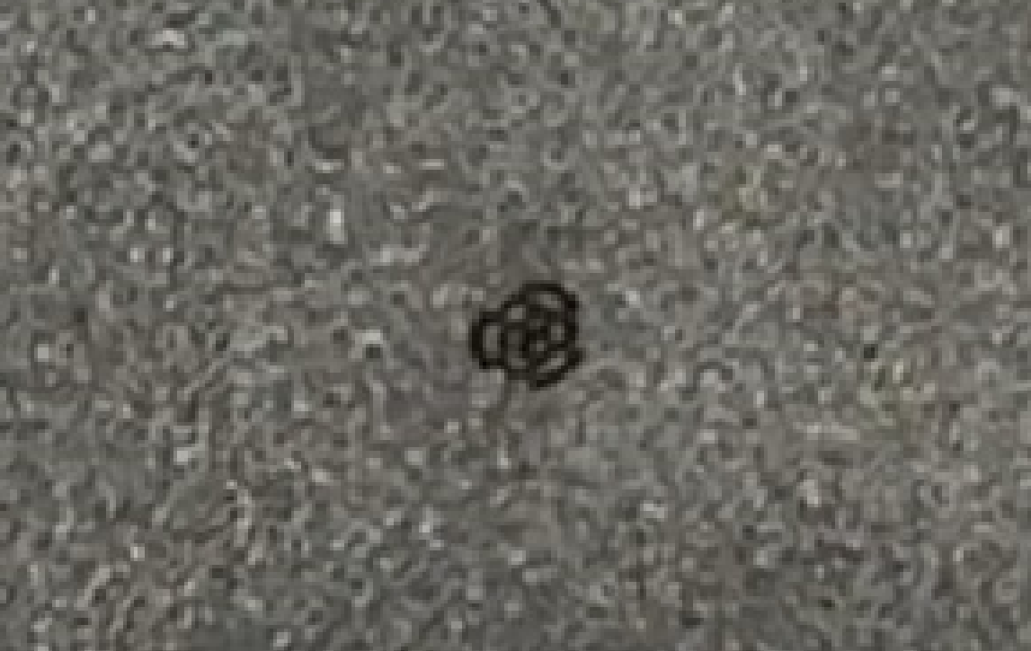 1735334514775.png