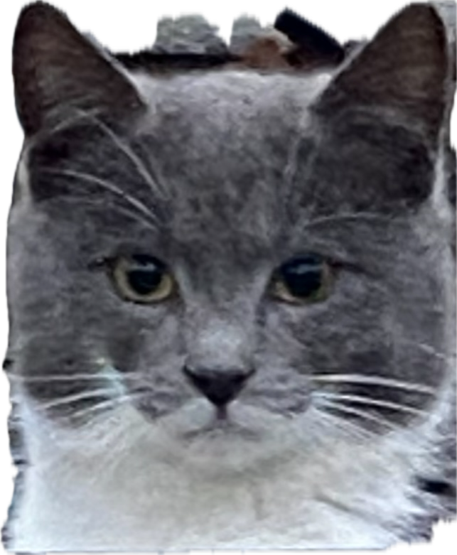 1735981985193.png