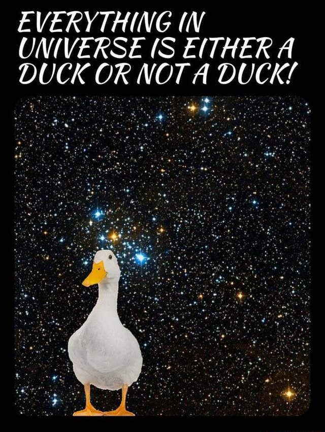 1736892893093.png