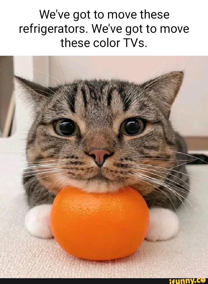 1739398638612.png